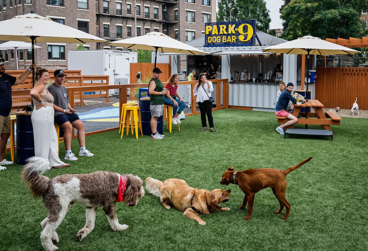 dogpark